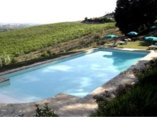 Agriturismo Bio Fattoria Bacio Чертальдо Екстер'єр фото