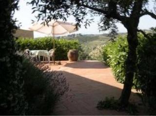 Agriturismo Bio Fattoria Bacio Чертальдо Екстер'єр фото