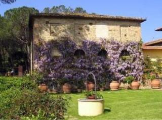 Agriturismo Bio Fattoria Bacio Чертальдо Екстер'єр фото